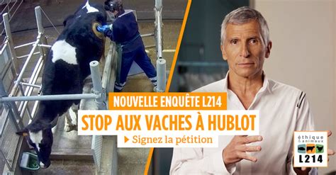 vache à hublot video|[VIDÉO] Stop aux vaches à hublot .